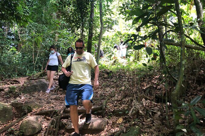 Epic Guided Adventure in El Yunque National Rainforest & Beach - Guides matter: Jose and Vincent as real examples
