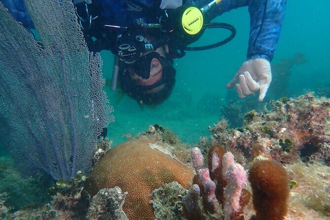 Experience Scuba Diving / NO certification Needed - Rincón’s Reef, Explained for First-Timers