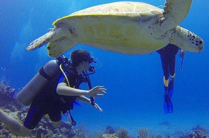 Experience Scuba Diving / NO certification Needed - What If Conditions Change: Alternate Spots and the 12-Hour Flight Rule