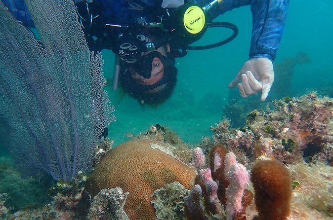 Experience Scuba Diving / NO certification Needed - Is $119 Good Value for a No-Certification Scuba Session?