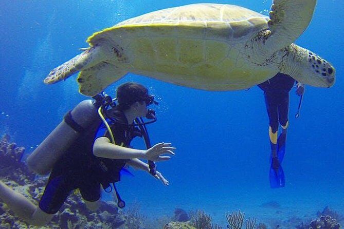 Experience Scuba Diving / NO certification Needed - Starting at 75 Cll 10: Briefing at the Pavilion and Getting Your Gear