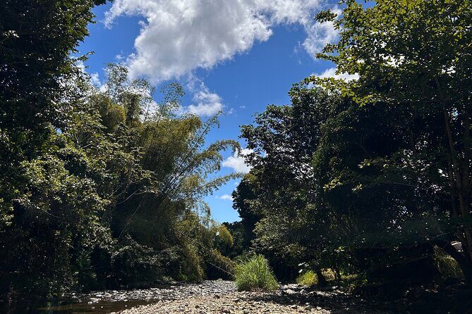 Explore El Yunque: Hiking, Swings & Waterslide (Small Group) - First water stop: swims, rope swings, and cliff jumps