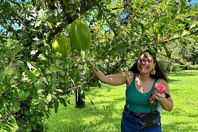 Explore Indigenous Roots, Experience a day in the life of a Taíno - Quick compare: what makes this experience feel authentic