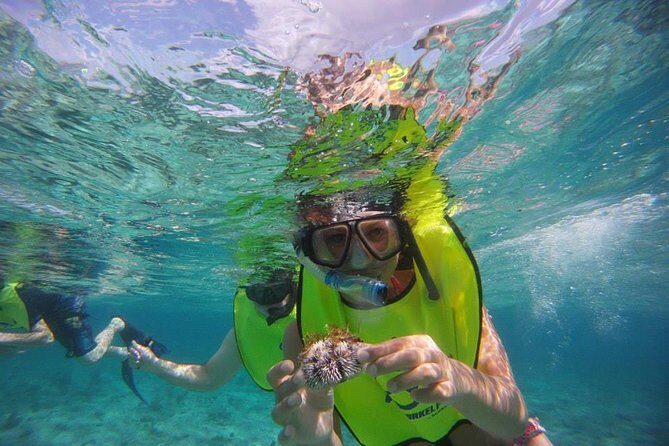 Fajardo Afternoon Snorkeling Adventure Tour - Meeting at Villa Marina: the short, clear logistics you’ll want