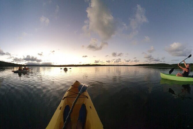 Fajardo Bioluminescent Bay Night Kayak Adventure from San Juan - San Juan to Fajardo: why the 4:30 pm timing matters
