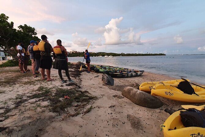 Fajardo Bioluminescent Bay Night Kayak Adventure from San Juan - Guides in action: safety, English/Spanish context, and real help
