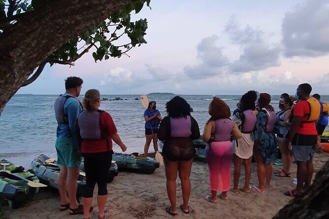 Fajardo Bioluminescent Bay Night Kayak Adventure from San Juan - Gear and comfort: what you get, and what you must bring