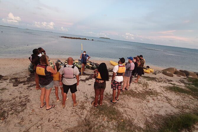 Fajardo Bioluminescent Bay Night Kayak Adventure from San Juan - Price and value: is $109 worth it?