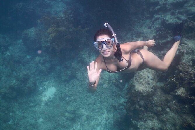 Fajardo, Puerto Rico: Morning Snorkeling Beach Tour - Lunch on Board: Deli Buffet That Keeps the Day Moving