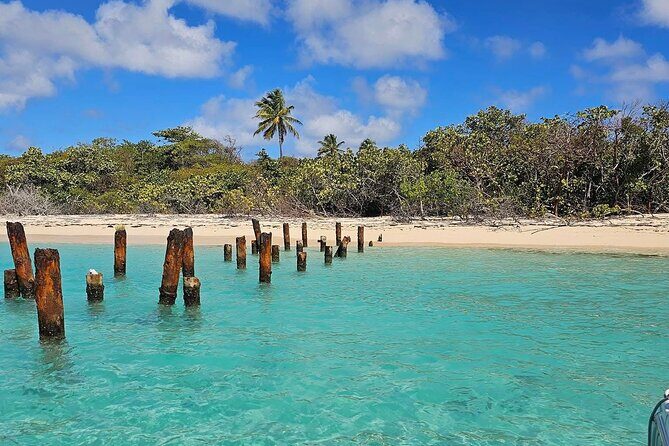 Fajardo Puerto Rico Private Boat Tour to Cayo Icacos - Practical tips for a smoother Cayo day from Fajardo