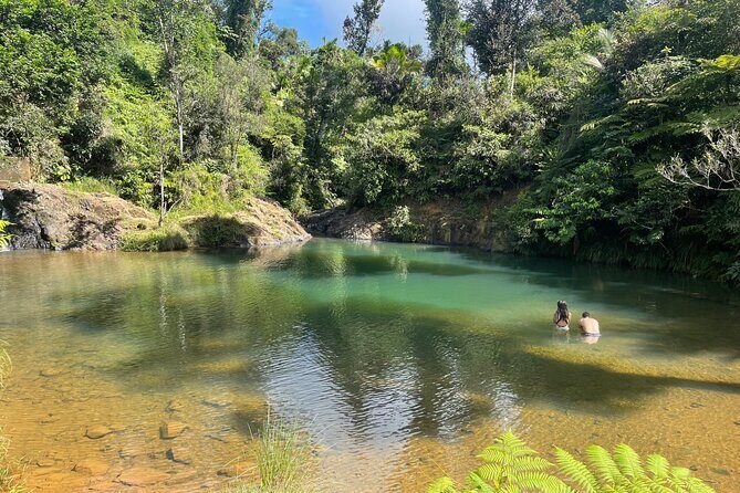Famous Guavate Pork Road & Charco Azul Food & River Tour - The 6-hour flow: how the stops fit together in real time
