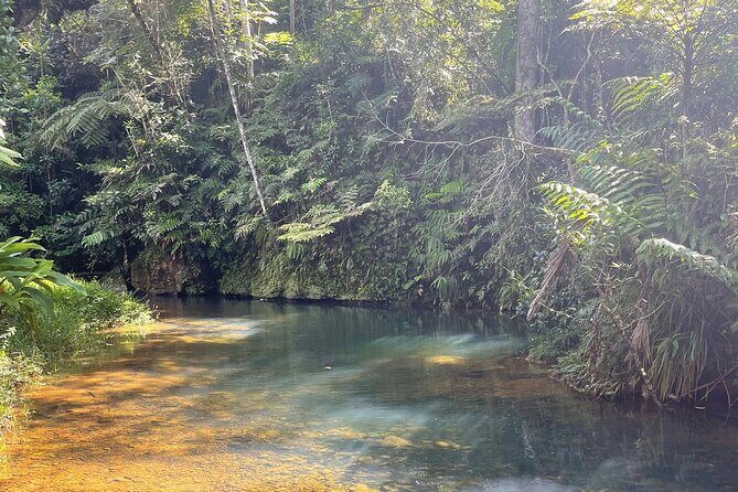 Famous Guavate Pork Road & Charco Azul Food & River Tour - What to bring: old shoes, swimwear underneath, and cash for lunch
