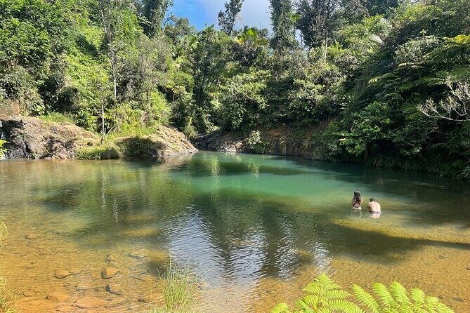 Famous Guavate Pork Road & Charco Azul Food & River Tour - FAQ