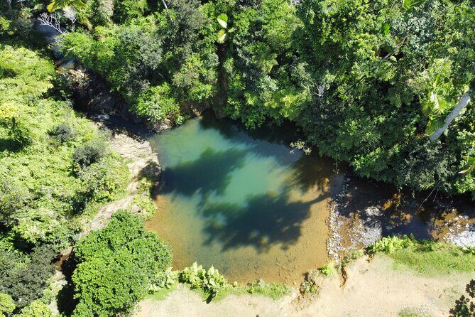 Famous Guavate Pork Road & Charco Azul Food & River Tour - The guide matters: how Fabiola, Sarah, Jean, Brian, and Rosa shape the day