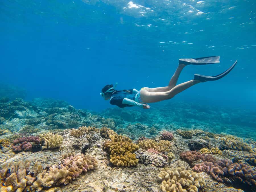 From Fajardo: Boat and Snorkeling in Culebra Island with All-Inclusive - Getting to the Marina Puerto del Rey: The Morning Clock Runs Fast