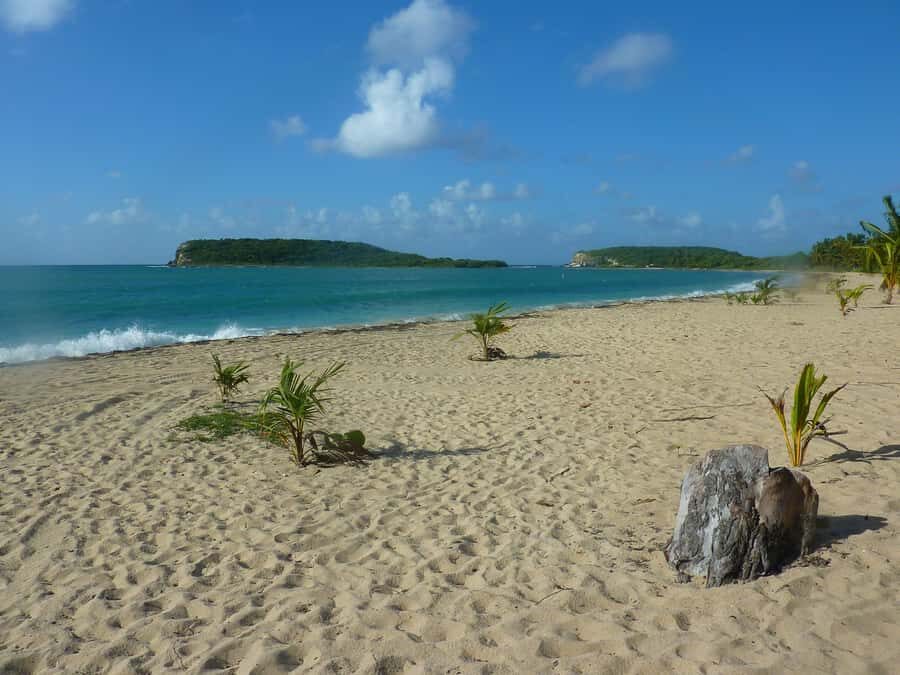 From Fajardo: Boat and Snorkeling in Culebra Island with All-Inclusive - Quick Tips for a Smooth Day from Fajardo