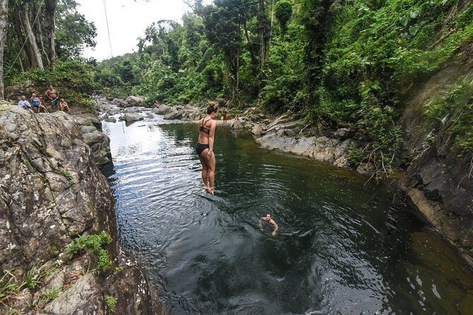 From San Juan: El Yunque Rainforest Hiking Adventure - Key Points Before You Go