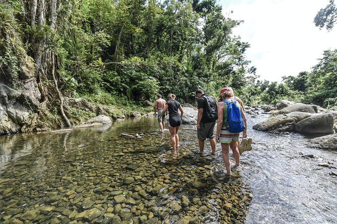 From San Juan: El Yunque Rainforest Hiking Adventure - The first pool stop: waterfall views plus swim or rope-jump moments