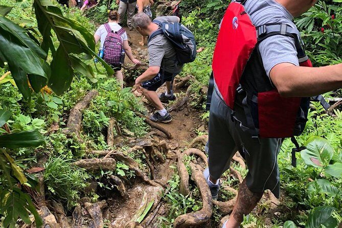 From San Juan: El Yunque Rainforest Hiking Adventure - Lunch timing in Luquillo: what to do with your hunger
