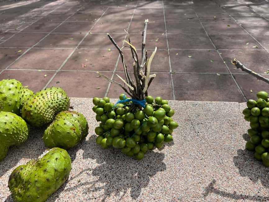 From San Juan: Full-Day Cultural Road Trip to Ponce - Who This Ponce Cultural Road Trip Suits Best