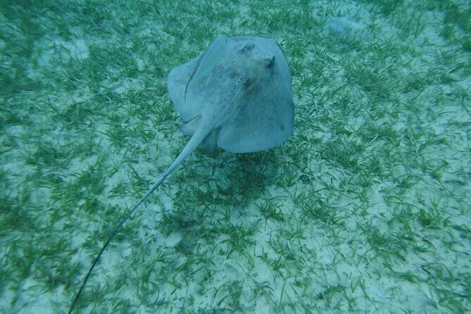 Full Day Charter from Fajardo to Culebra - Tamarindo Beach setup leads into Honeymoon Beach time
