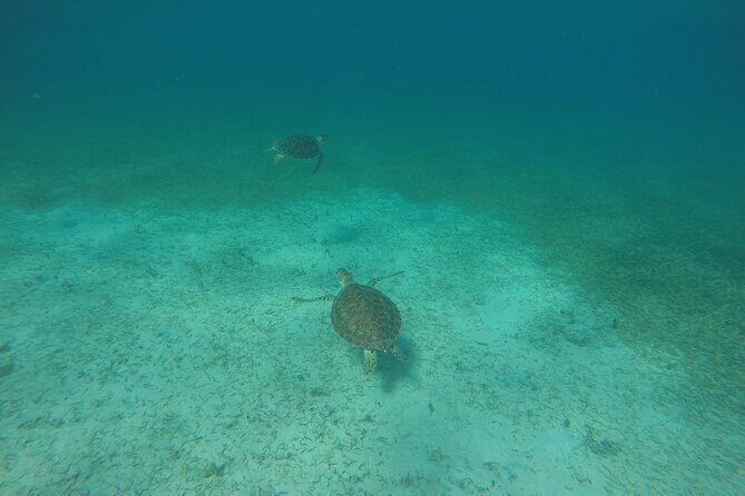 Full Day Charter from Fajardo to Culebra - BBQ lunch on the beach: food, drinks, and an easier timeline