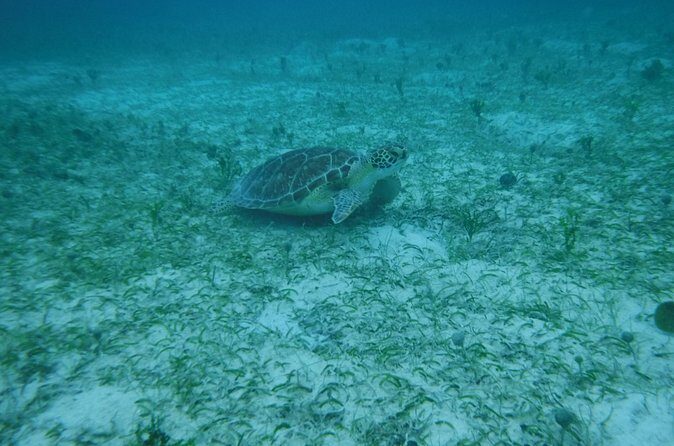 Full Day Charter from Fajardo to Culebra - What you’ll likely love most (based on how the crew runs the day)
