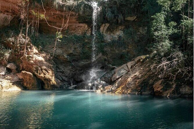 Full-Day Gozalandia Private Tour in Puerto Rico - Price and what you really get for $1,050 per private group