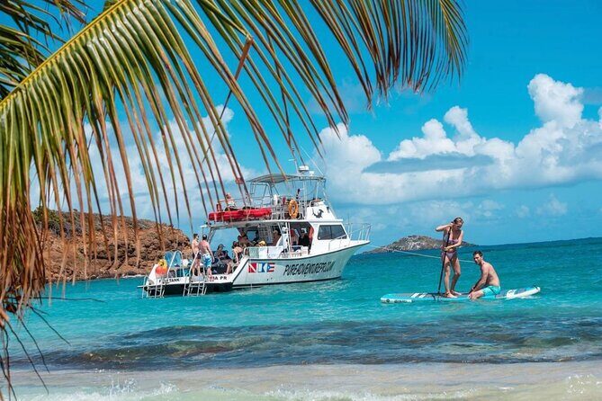 Full-Day Snorkeling Tour to Culebra Island with Lunch - Key details that matter before you go