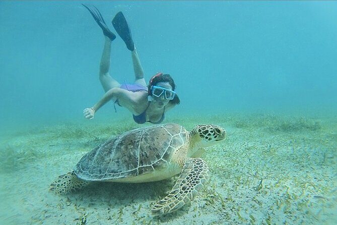 Full-Day Snorkeling Tour to Culebra Island with Lunch - Flamenco Beach: what you’re really buying with your day