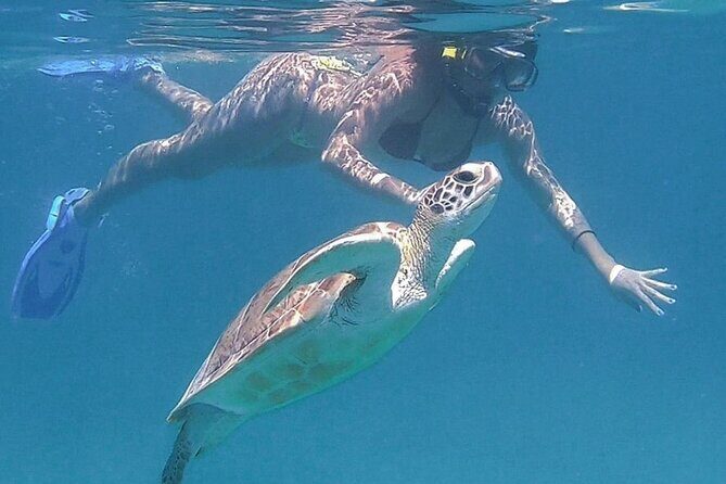 Full-Day Snorkeling Tour to Culebra Island with Lunch - Paddleboards and swimming time you can shape yourself