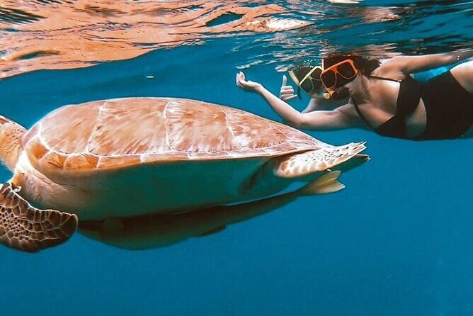 Full-Day Snorkeling Tour to Culebra Island with Lunch - Boat ride reality check: choppy water is possible