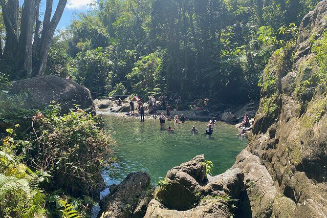 Full-Day Tinajas Hiking to El Yunque Rainforest with Transport - Morning Logistics: The 8:00 AM Start and How to Prepare