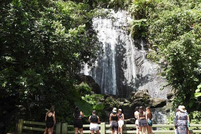 Full-Day Tour: El Yunque, Luquillo Beach, Bio Bay Night Kayaking - Key highlights you’ll feel immediately
