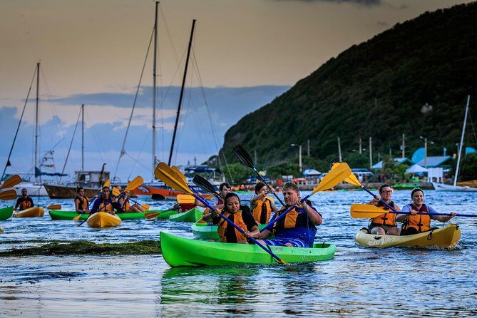 Full-Day Tour: El Yunque, Luquillo Beach, Bio Bay Night Kayaking - Catarata La Coca: a short waterfall hit before the rainforest