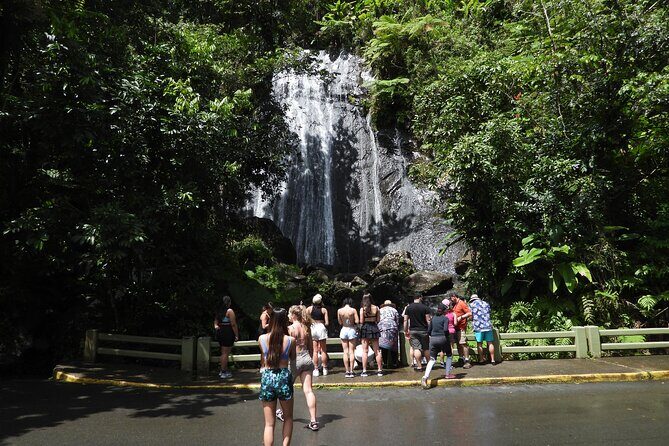 Full-Day Tour: El Yunque, Luquillo Beach, Bio Bay Night Kayaking - Laguna Grande at night: kayaking in darkness and mangrove channels