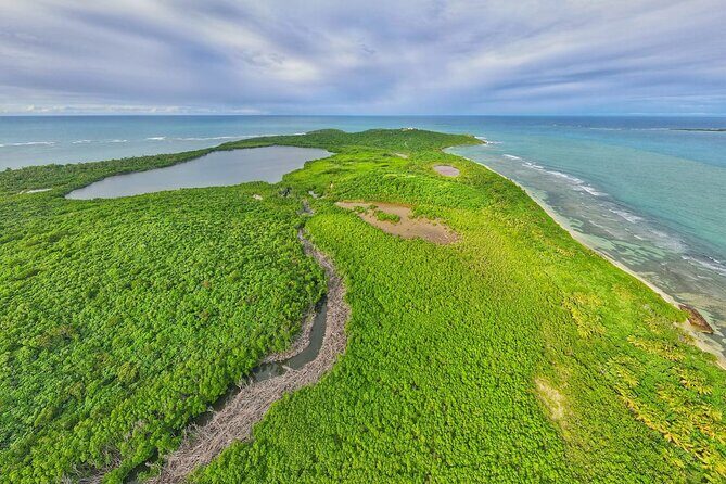 Full-Day Tour: El Yunque, Luquillo Beach, Bio Bay Night Kayaking - Bioluminescence: how to increase your odds of seeing real glow