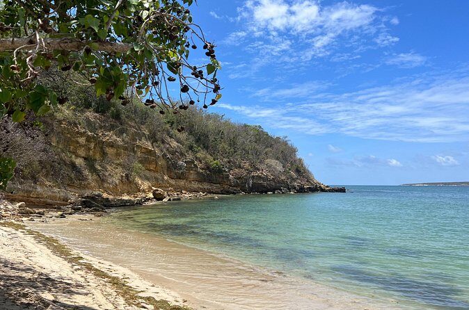 Full Day Vamos Pa la Isla Southwest Experience - Cabo Rojo Salt Flats (Las Salinas del Corozo): the long stop for big views