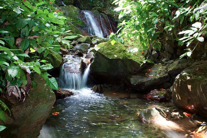 Full-Day Zipline and Waterfall Rappelling Adventure Near San Juan - Ziplining Back to Basecamp: Short, Fast, and (Mostly) at the End