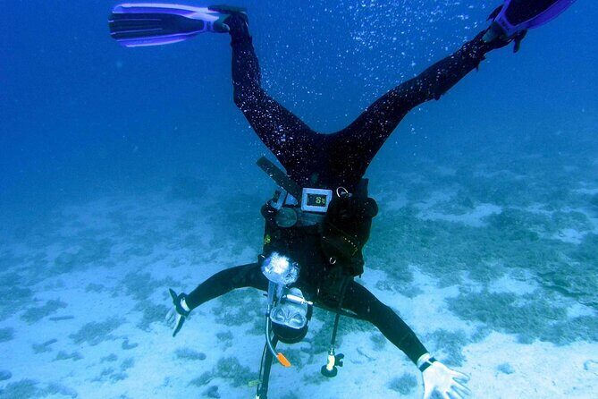 Get SCUBA Certified at San Juan - Should You Book Scuba Dogs at Escambrón?