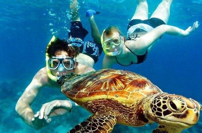 Guided Coral Reef Snorkeling Tour - Time on the water: how the 2 hours usually plays out