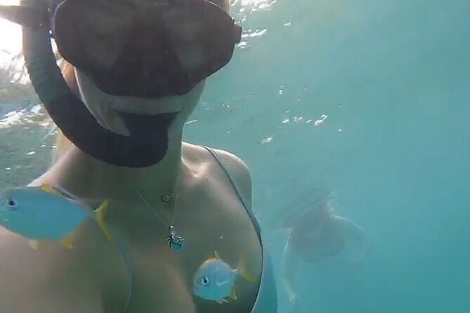 Guided Snorkeling adventure in San Juan - Check-in, gear, and learning fast without stress