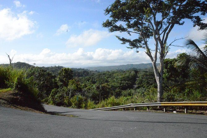 Half-Day Center of Puerto Rico Cultural Tour - Key things I’d circle before you book