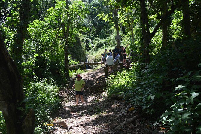 Half-Day Center of Puerto Rico Cultural Tour - The high mountain viewpoint: where the scenery finally opens up