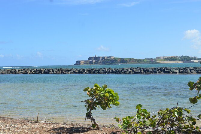 Half-Day Center of Puerto Rico Cultural Tour - Your guide is the product: Manuel, Francisco, and Jerry’s different styles
