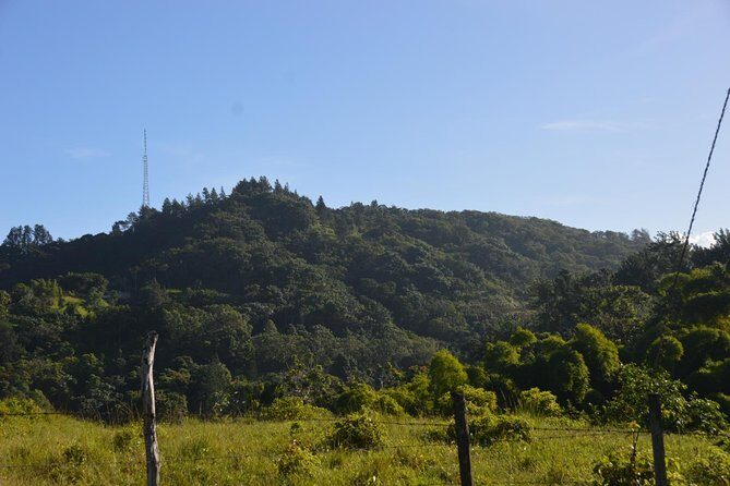 Half-Day Center of Puerto Rico Cultural Tour - What $80 buys you (and what it doesn’t)