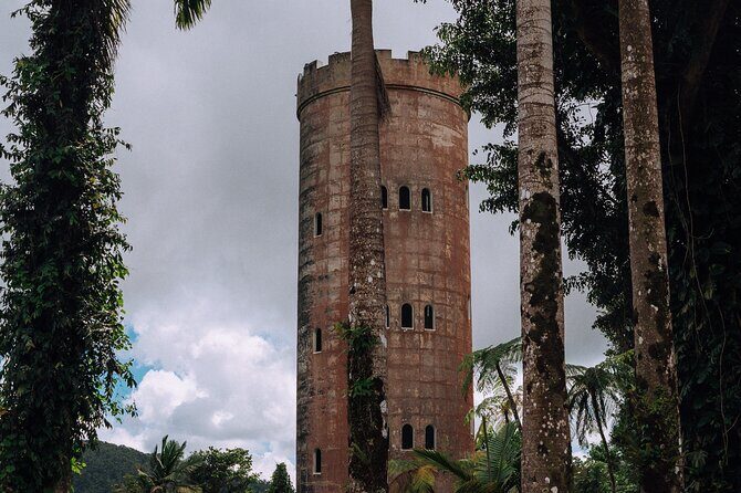 Half-Day El Yunque National Forest Tour from San Juan - El Yunque in 5 hours: what this half-day does well