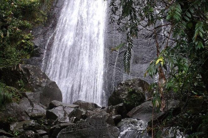 Half-Day El Yunque National Forest Tour from San Juan - Catarata La Coca: the quick waterfall you’ll actually have time for