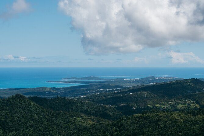 Half-Day El Yunque National Forest Tour from San Juan - Torre Yokahu: the coastal panorama payoff