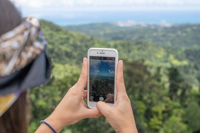 Half-Day El Yunque National Forest Tour from San Juan - First forest stop: your “what am I seeing?” moment